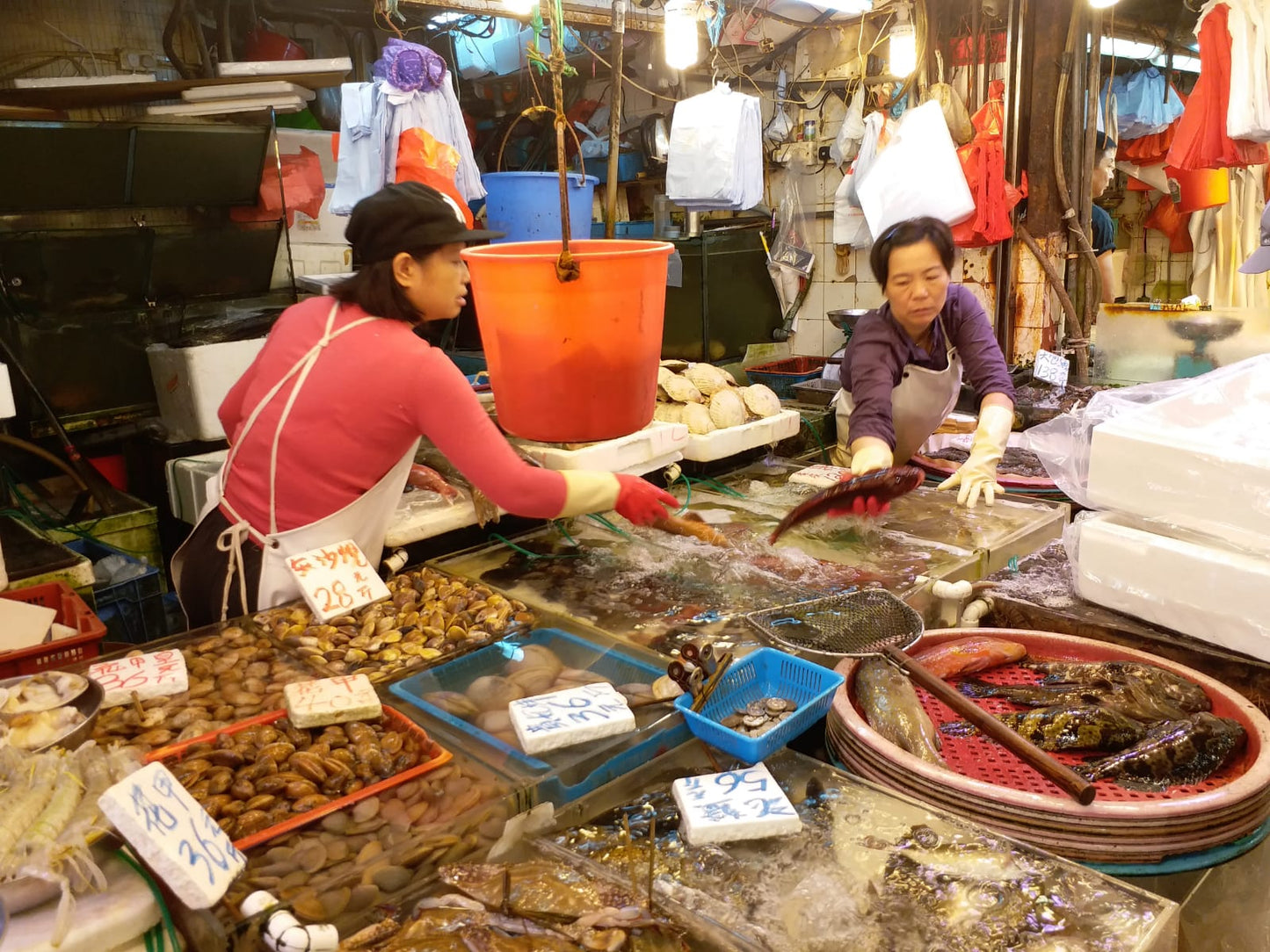 Market tour and Chinese cooking class on April 6, 10am